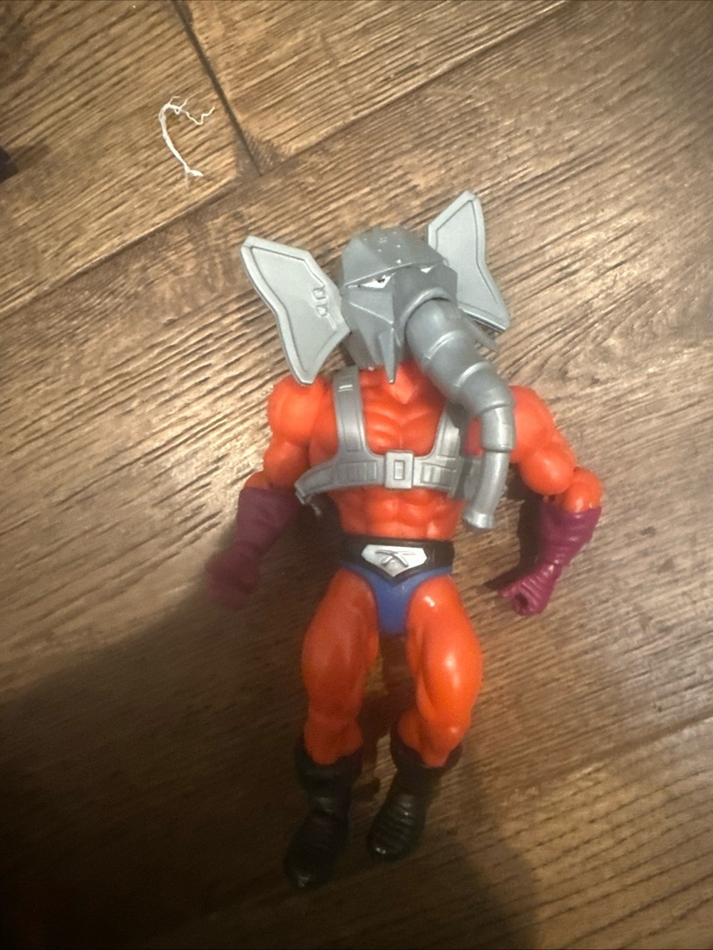 Motu - Picture 14 of 16
